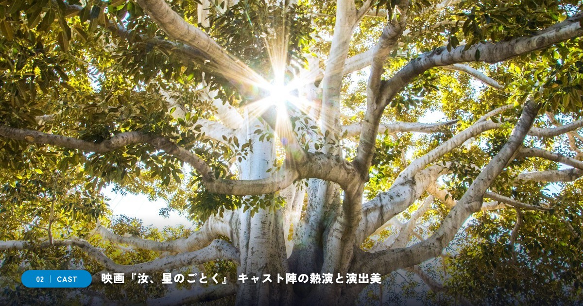 【本文2】映画『汝、星のごとく』 キャスト＆見どころ解説