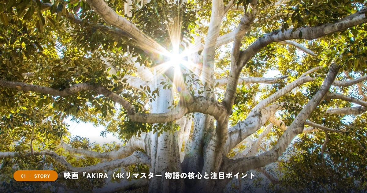 【本文1】映画『AKIRA（4Kリマスター版）』 あらすじと注目点