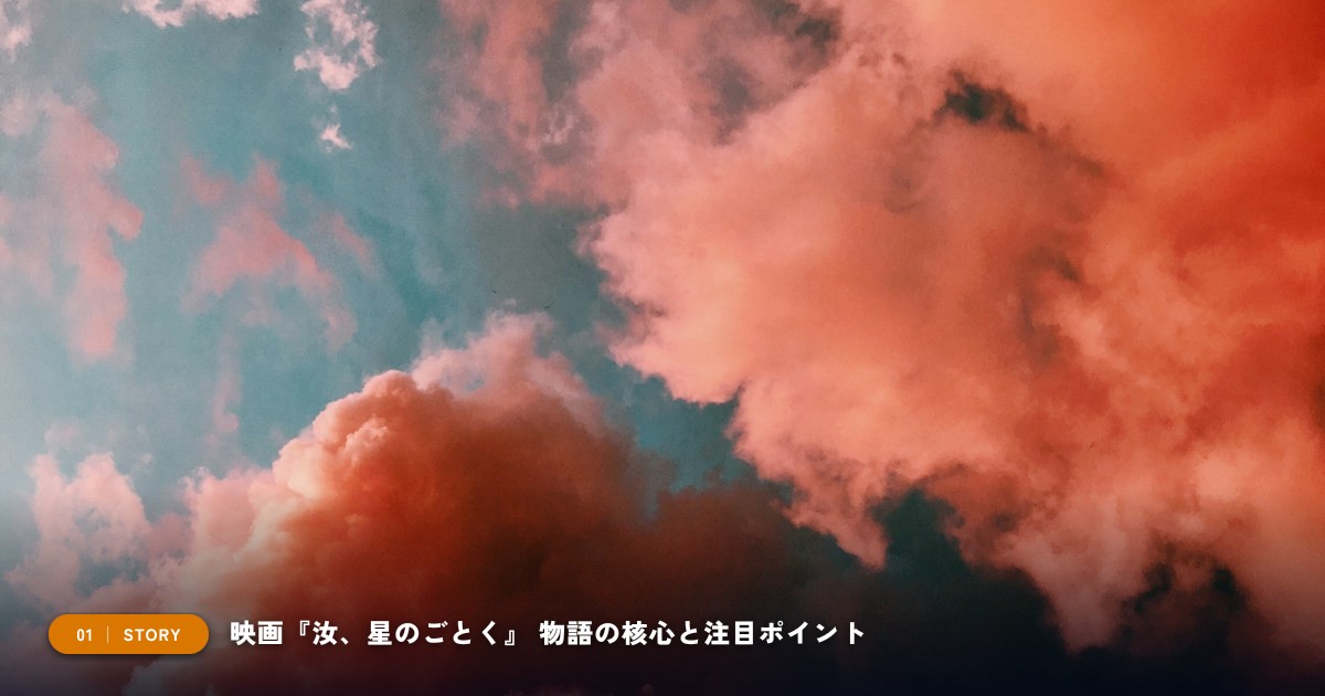 【本文1】映画『汝、星のごとく』 あらすじと注目点