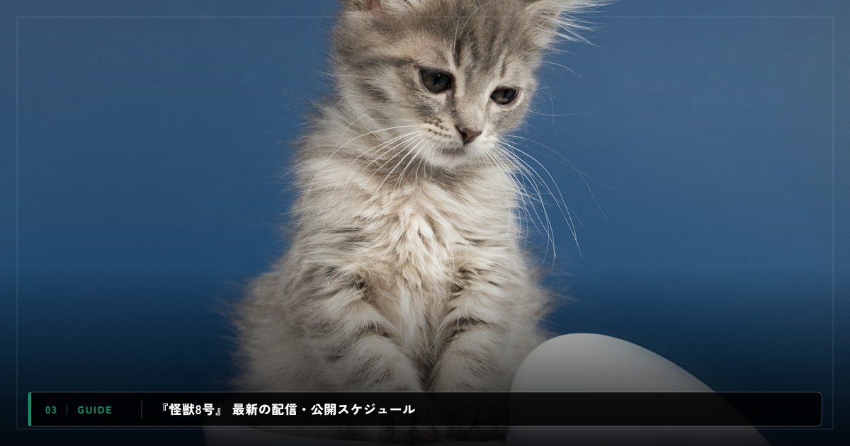 『怪獣8号』|動画配信サイト比較&視聴ガイド