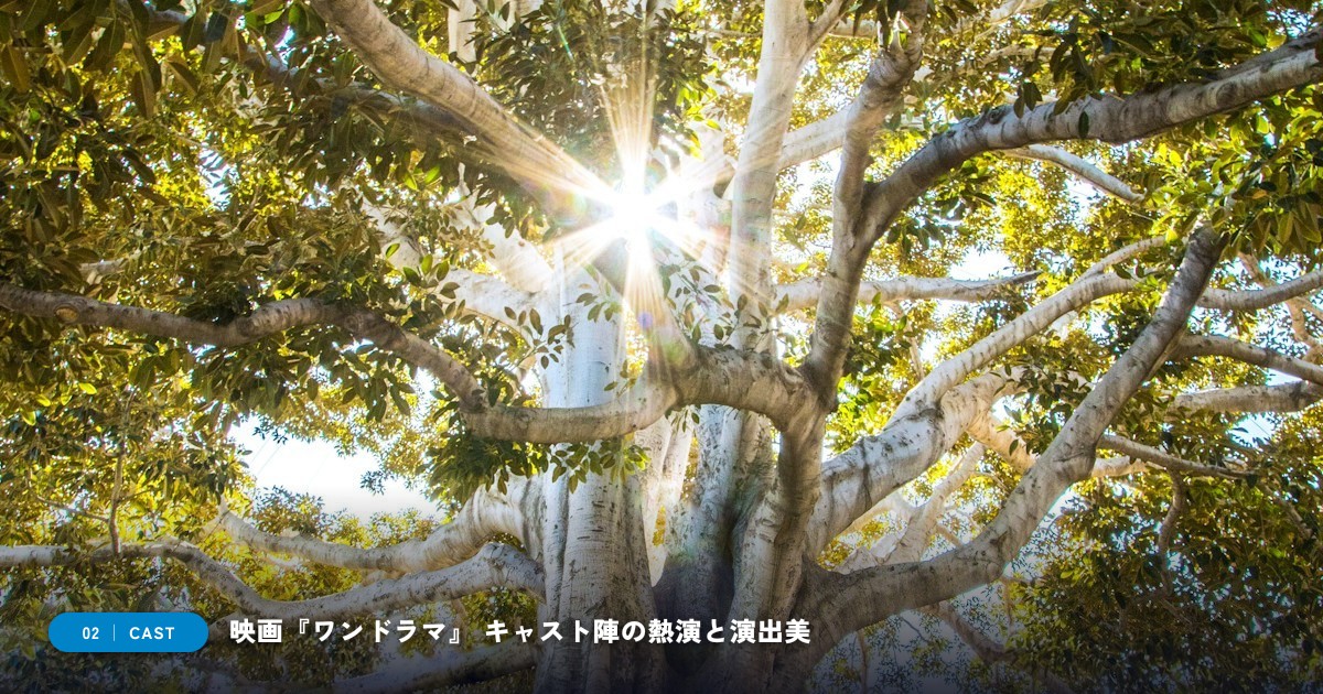 映画『ワンドラマ』|キャスト・声優陣&見どころ解説