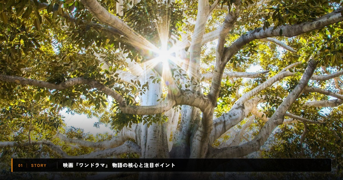 映画『ワンドラマ』|あらすじと物語の注目ポイント